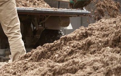Mulching 101: What Is The Best Way To Install Mulch?