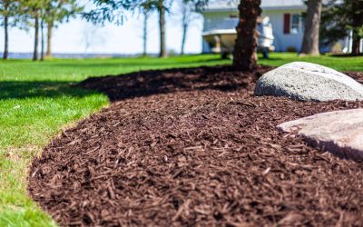 Calculate Your Next Mulch Project in Bluffton, SC