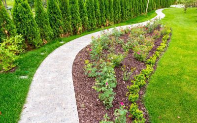 10 Best Mulch Alternatives for Durable, Low-Maintenance Landscaping