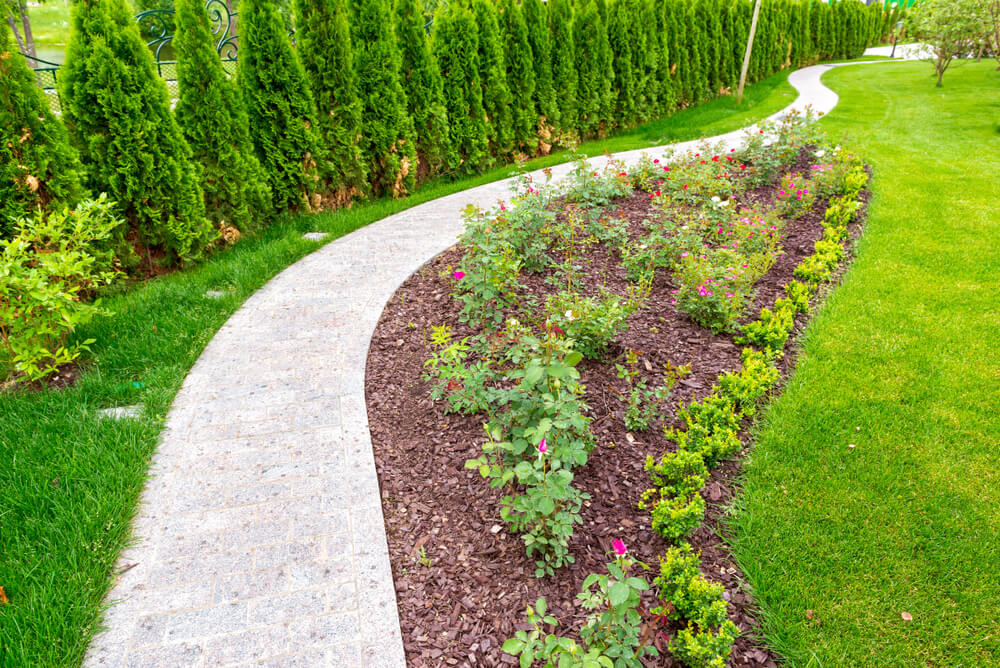 10 Best Mulch Alternatives for Durable, Low-Maintenance Landscaping