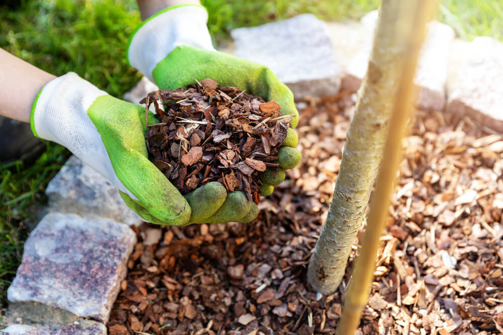 residential mulching services for gardens