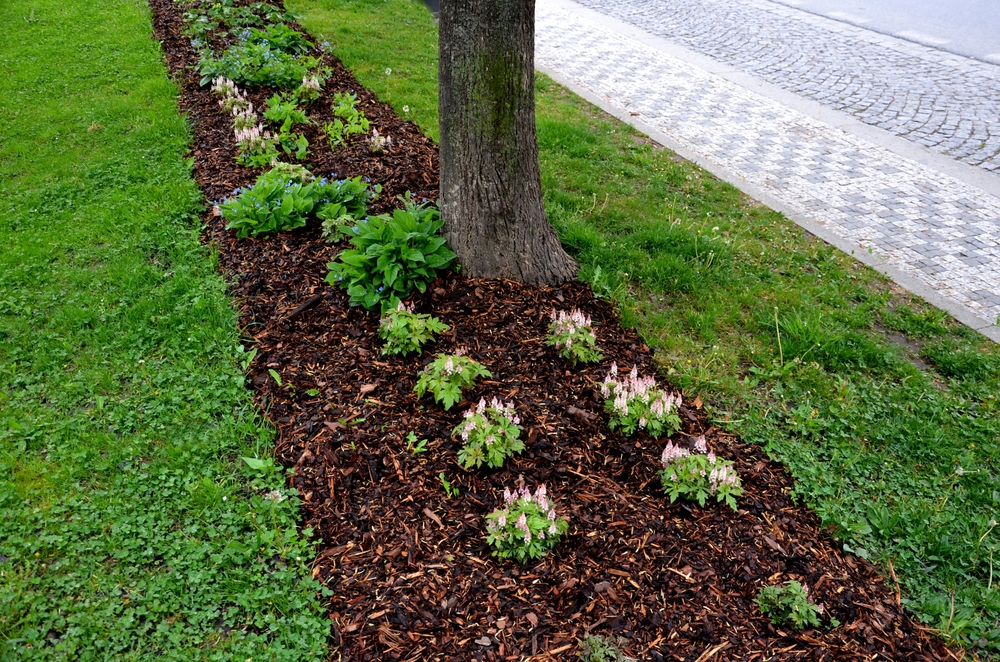 Mulch Myths Debunked: The Truth Behind The Tales