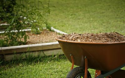 How Much Mulch Do I Need?
