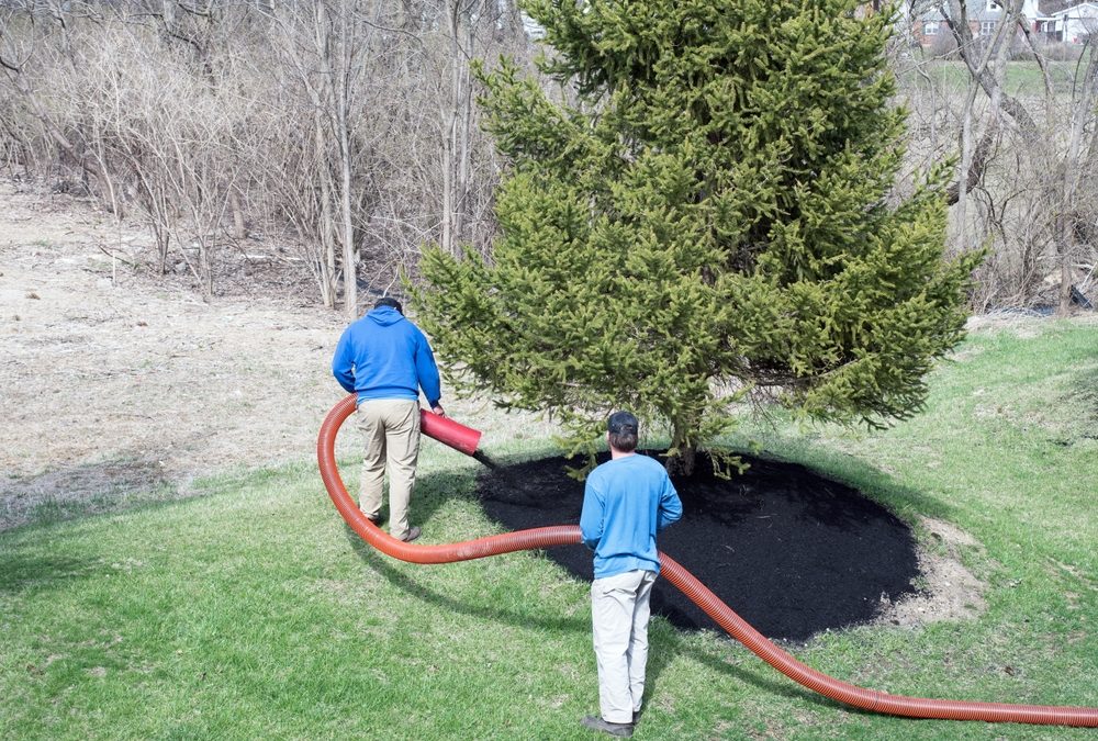 The ROI of Professional Mulching: How it Saves Time, Money, and Effort
