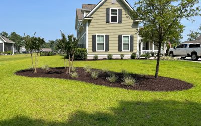 The Importance of Mulching for a Healthy Garden 