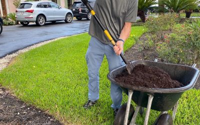 How to Install Mulch Like a Pro (Plus Free Calculator Tool)