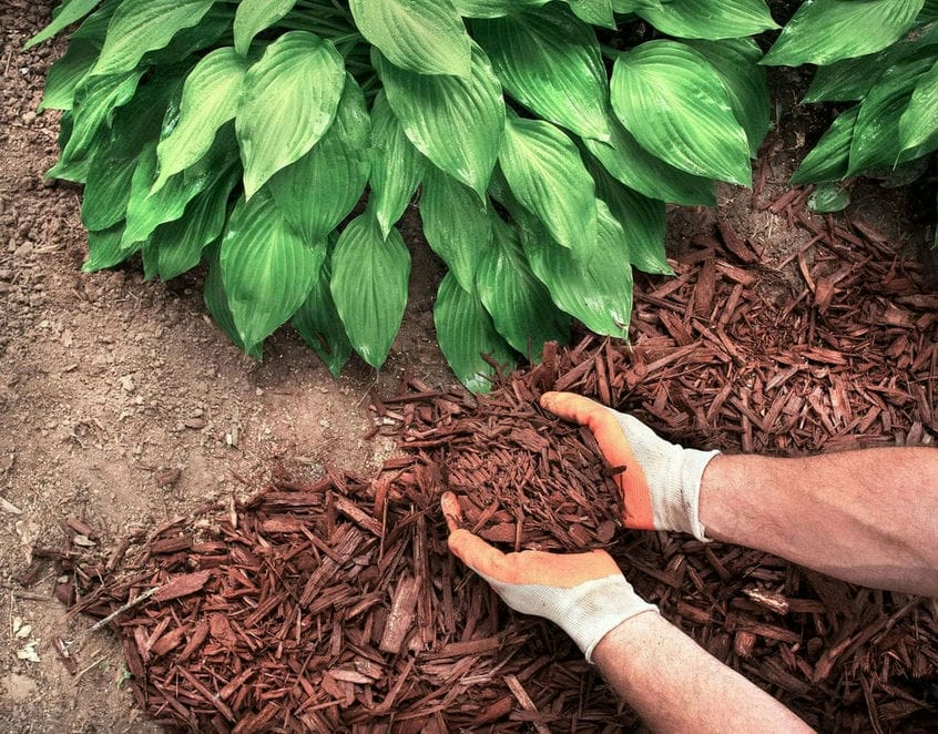 DIY Mulching Projects: A Simple Way to Boost Your Garden’s Look and Health