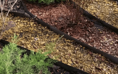 Mulch Magic: How to Pick the Perfect Garden Mulch for Your Home