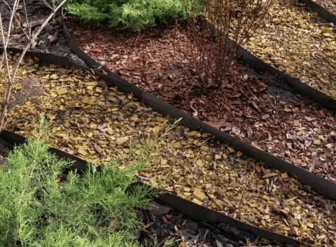 Choosing the Right Mulch for Your Garden | Bella Mulch