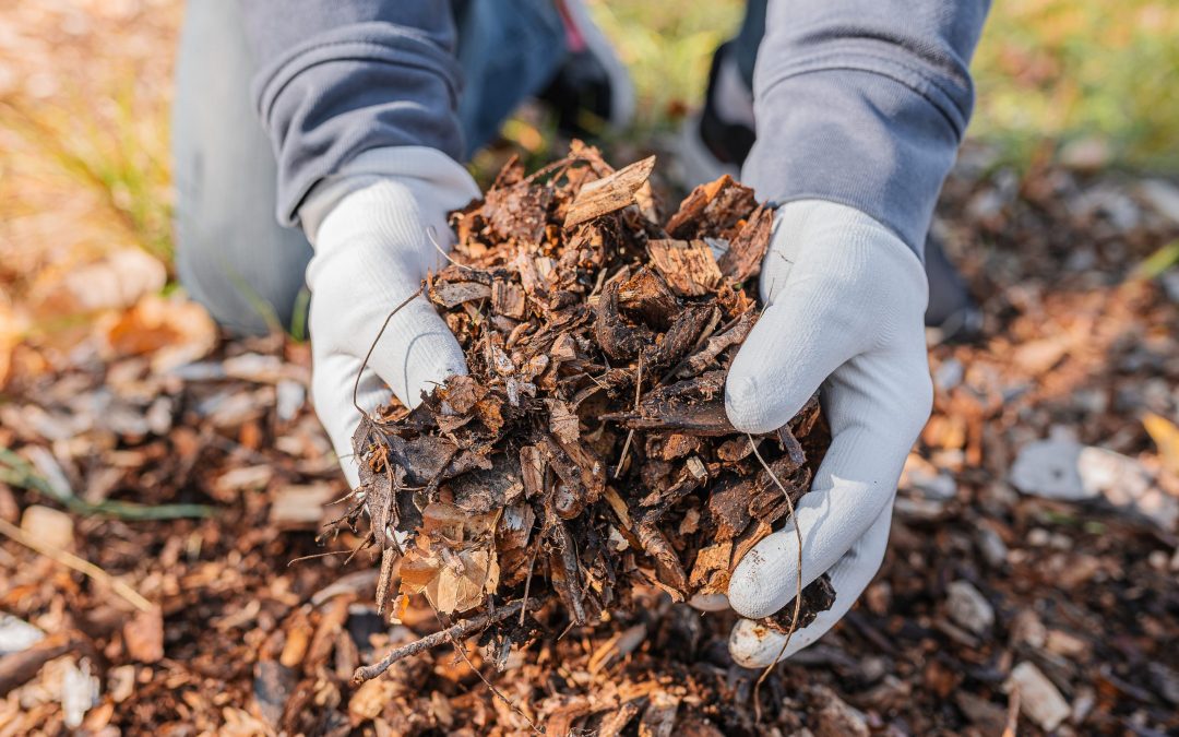 Mulching for Flower Beds: Adding Color and Vitality
