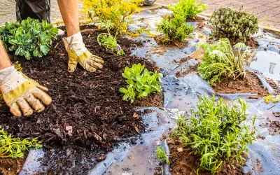 Mulching for Weed Control: Strategies for a Weed-Free Garden