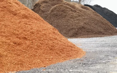 Choosing the Best Mulch: 7 Types for Landscape and Garden Success
