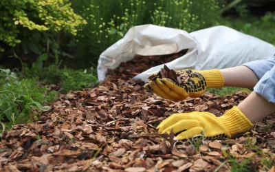 Cedar Mulch Benefits: Installation Tips for Maximum Longevity