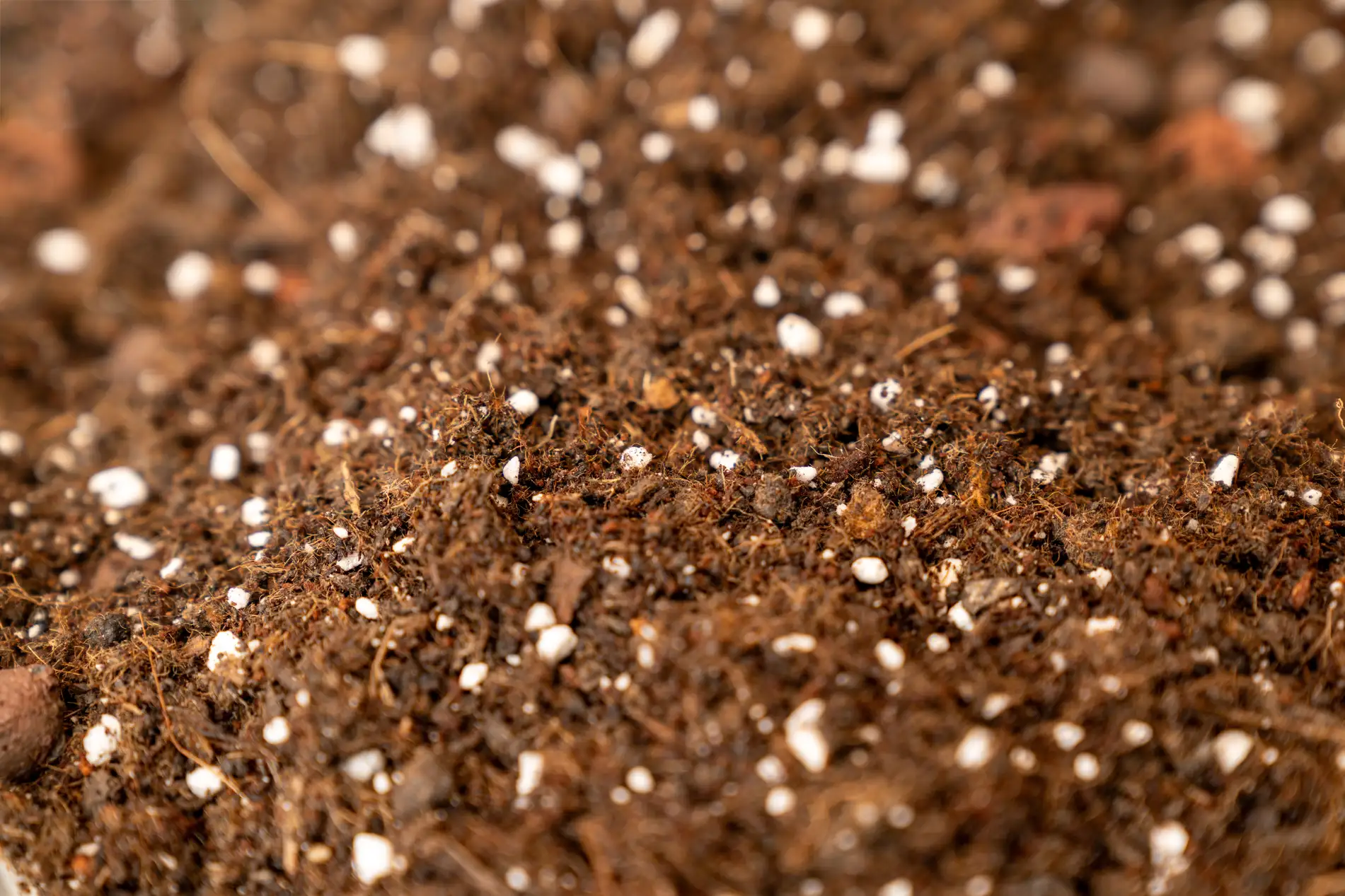 Best mulch for clay soil in raised garden beds improving drainage and plant growth