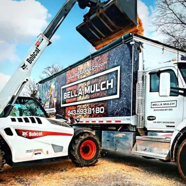 Closeup man wearing gardening gloves applying brown mulch chips from a bag on soil around green hosta plants to control weeds and as a landscape