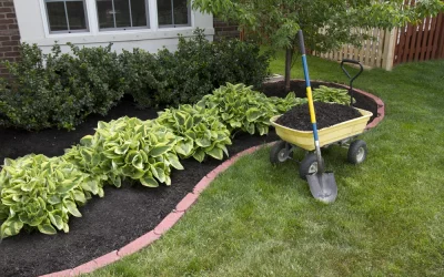 When to Replace Mulch: A Seasonal Guide for the South