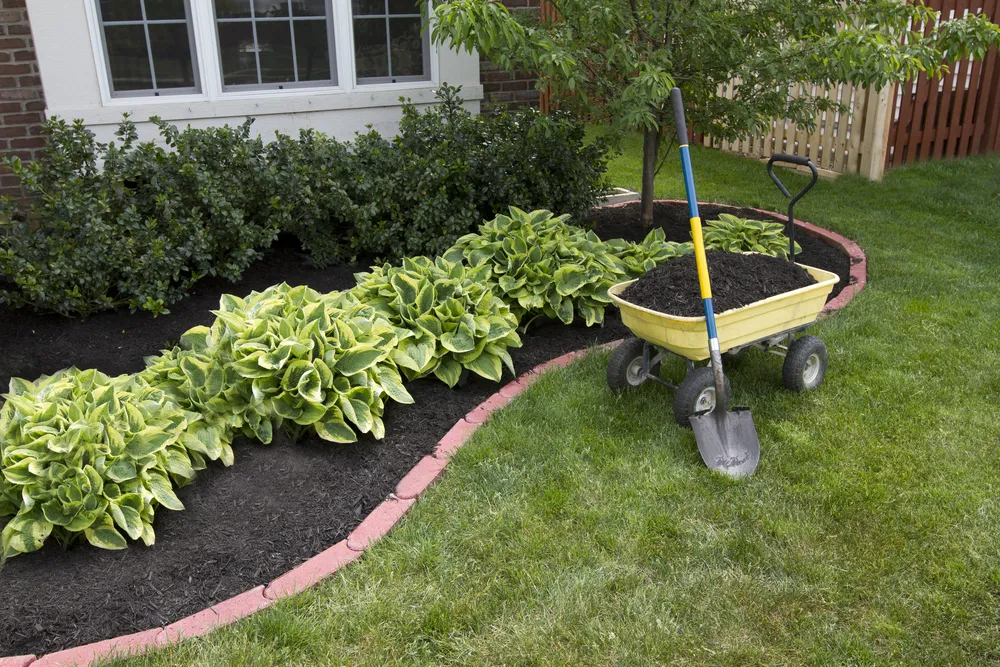 residential garden showing mulch installation