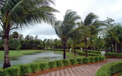 Benefits of Mulch for Erosion Control in Coastal Landscapes