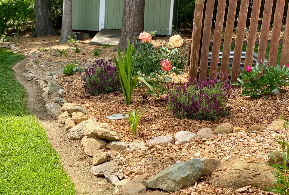Mulch vs. Rock: Which Ground Cover Is Best for Your Bluffton Landscape?