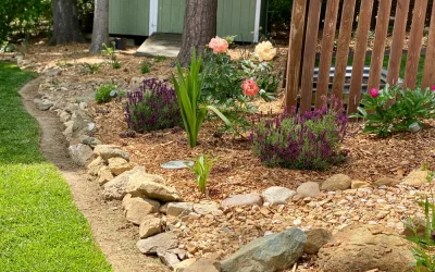 Mulch vs. Rock: Which Ground Cover Is Best for Your Bluffton Landscape?