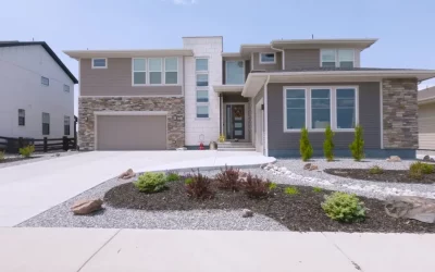 Mulch vs. Rocks: Comparing Cost, Maintenance, and Plant Health