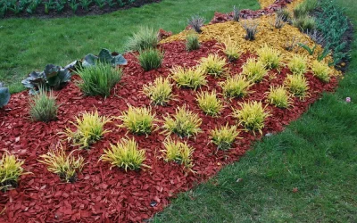 Red Cedar Mulch: Benefits, Best Uses, and Installation Tips