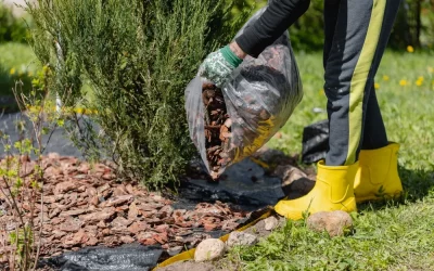 2026 Mulch Cost Per Yard: Pricing for Materials, Delivery, and Professional Installation
