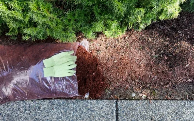 When to Replace Old Mulch: Best Practices for Removal and Refreshing Your Beds