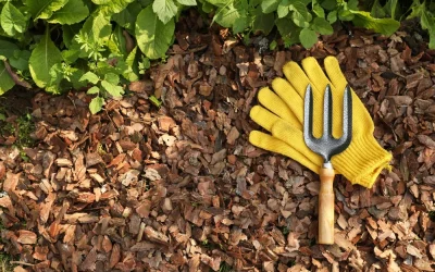 Proper Mulching Techniques: Depth, Application, and Avoiding Mulch Volcanoes